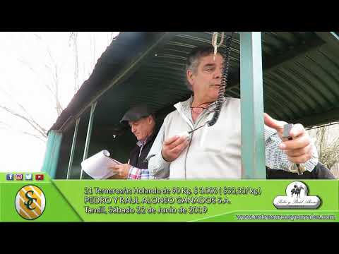 22-06-19 - Venta de Machos y Hembras Holando - Pedro y Raúl Alonso Ganados S.A. - Tandil
