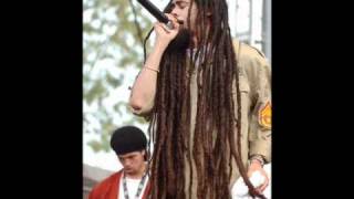 Damian Marley - Born to be wild