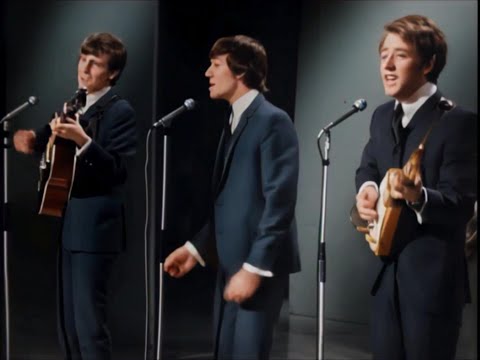 Look Through Any Window 📀 The Hollies {Stereo} 1965