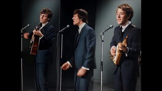 Look Through Any Window 📀 The Hollies {Stereo} 1965