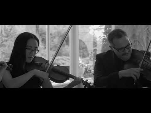 Vybe Society Entertainment video.