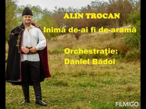 Alin Trocan - Inimă de-ai fi de-aramă
