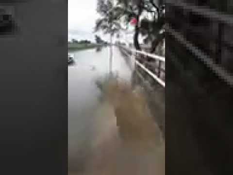 Villa Guillermina inundaciones...