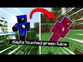 Minecraft But I Can T Touch The Same Color Twice