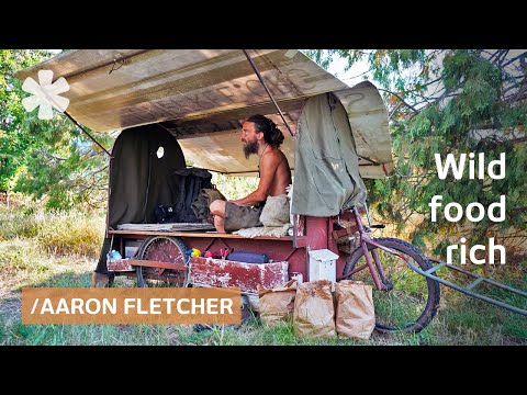 Homeless shepherd shares hunter-gatherer diet & survival tips