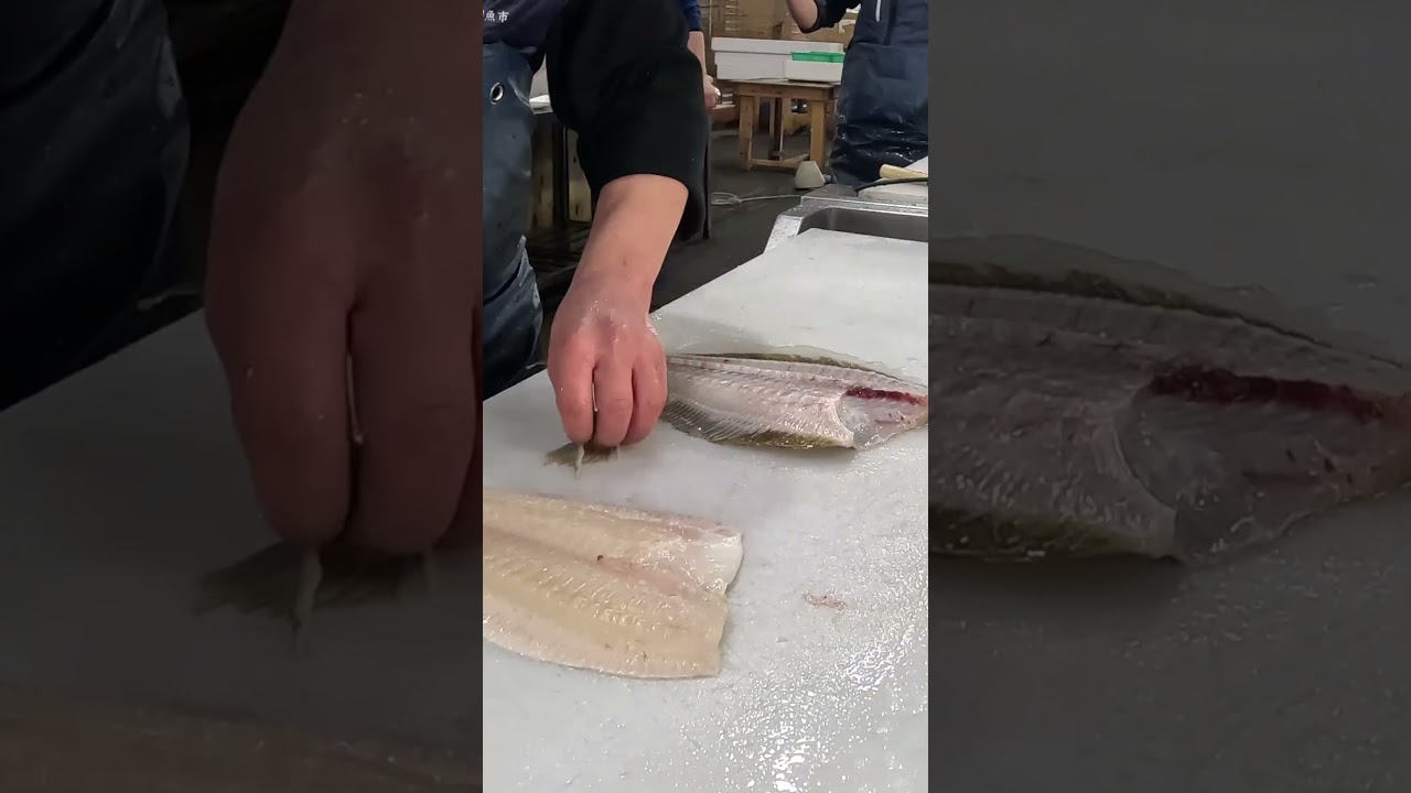 ひらめ３枚おろし