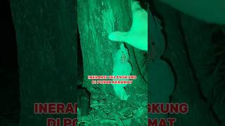 Download lagu ITERAKSI JELANGKUNG DI POHON ANGKER #interaksi #jelangkung #seram #horror #viral #fyp #horrorgaming mp3