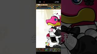 ガチャpart1679【2026/6/18】#パズドラ #毎日投稿