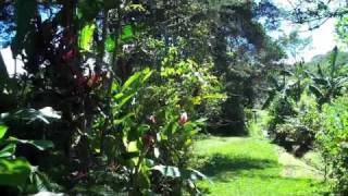 preview picture of video 'Barriles, Chiriquí, Panamá'