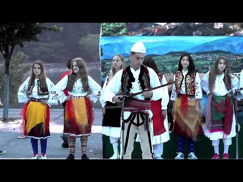 FEST , TALENTET E RINJ PUKË 2018 = GRUPI  I SHKOLLAVE  NJ,ADMIN, QELES