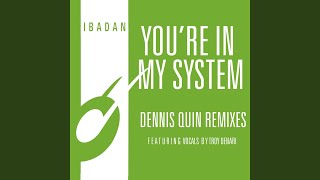 You&#39;re in My System (Dennis Quin Vocal Mix)