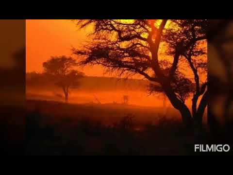 Appel - Kalahari Kalahari roep my nou