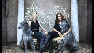 April's Love 09 - Court Yard Hounds