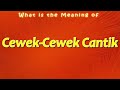 What Is The Meaning Of Cewek Cewek Cantik