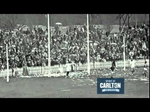 David McKay 1973 - Carlton Football Club Past Player