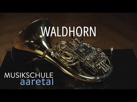 WALDHORN spielen lernen - Fachangebot der Musikschule Aaretal, Bern, Schweiz