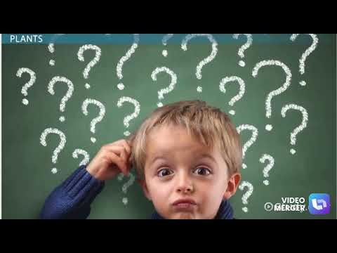 How weather affects us