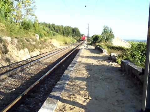 Comboio de Madeira nº 48838 - Amieira