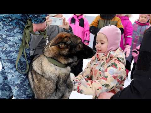 ЛАПЫ ЗАКОНА | Новости Камчатки | Масс Медиа