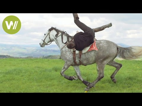 Vaulters | Portraits of the Greatest French Equestrian Artists