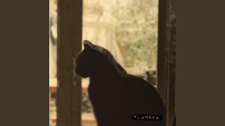 Plumeau - Happy Memories video