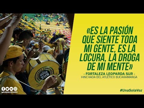 "Dicen que estamos locos de la cabeza - Fortaleza Leoparda Sur | Letra" Barra: Fortaleza Leoparda Sur • Club: Atlético Bucaramanga