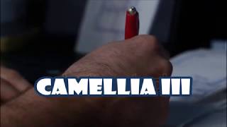ebiet g ade camellia III