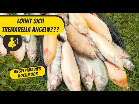 Is Tremarella fishing worth it?