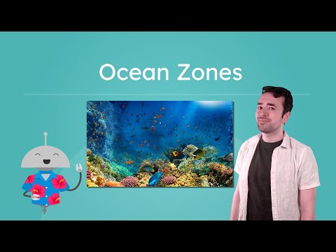Ocean Zones - The Sunlight, Twilight, and Midnight Zones of the Ocean!