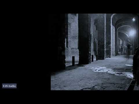 Dnb Jungle - Out of the Dark