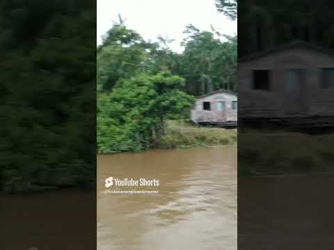lugares do município de Gurupá estado do Pará, lindo Marajó!