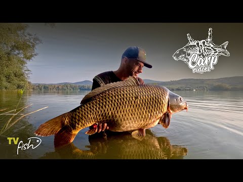 3 dny, 3 lokality - bláznivá akce CARP RIDERS | Film v plné délce | TV FISH CZ-SK | Tomáš Slavík