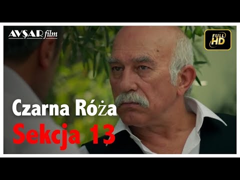 Czarna Róża - Sekcja 13