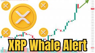 XRP WHALE ALERT! 129 Million Moved - SEC Lawsuit Impact? (Ripple News)