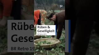 Kennt ihr Rübenkraut? Eine Tradition aus der Oberpfalz | BR #retro #fermentation #sauerkraut