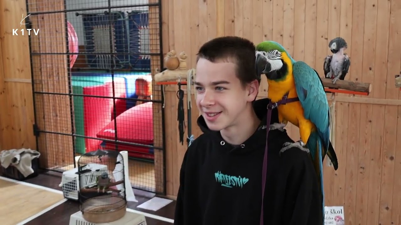 Papoušci do škol pořádají příměstský tábor