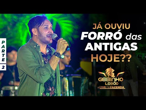 FORRÓ ANTIGO dos ANOS 90 para RECORDAR - GEIBINHO LOBÃO