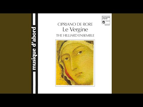 Le Vergine, Stanza septima: Vergine, quante lagrimae