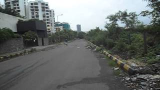 Progressive Highness