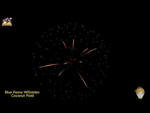 5inch Blue Peony W/Golden Coconut Pistil Display Shell Fireworks for Pyrotechnics