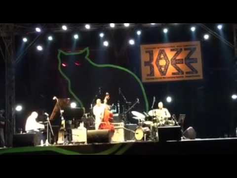 Peter Martin Trio: Guaracha's Parish