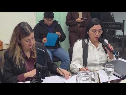 La Voz TV: sesión Concejo Deliberante de Plaza Huincul