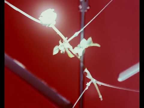 HOFE X 4:40 (FT. L'Haine, NormanBate$, J Cream) EDAMAME (VISUALIZER)