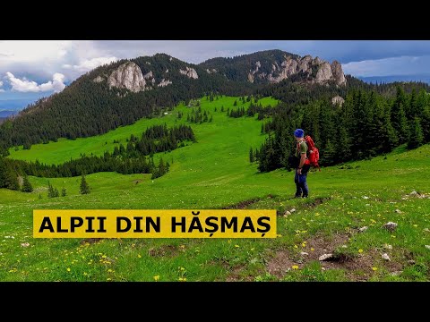 Munții Hășmaș - Două zile de drumeție cu dormit la cort la cabana Piatra Singuratică (Ep. 38)