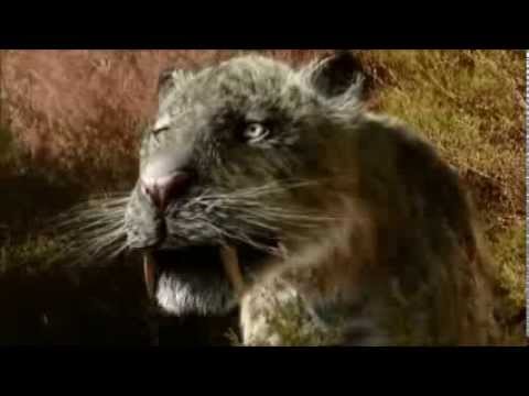 Dinosaurs vs  Prehistoric Mammals