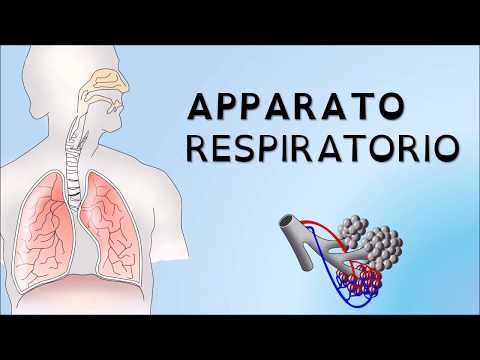 APPARATO RESPIRATORIO