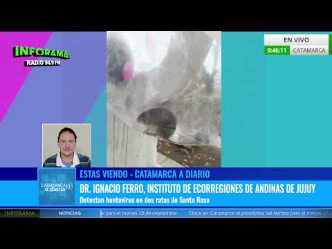 🎥 DETECTAN HANTAVIRUS EN DOS RATAS DE SANTA ROSA: RECOMIENDAN EXTREMAR LOS CUIDADOS | IGNACIO FERRO