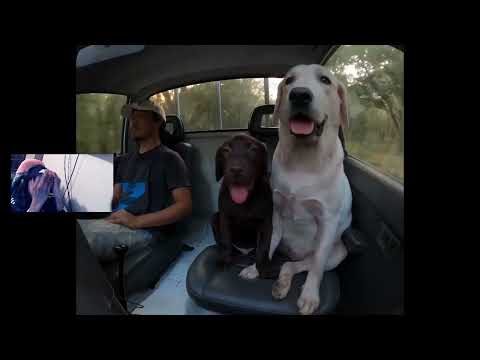 !REACTION! Phum Viphurit - Welcome Change [Official Video]