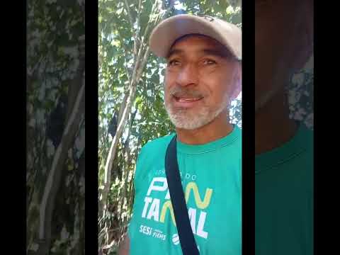 Venha comigo explorar um dos lugares mais bonitos de Mato Grosso do Sul! 🌿🏞️Em Corguinho-MS, 