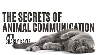 Animal Whisperers: Diving Deeper into the Secrets of Animal Communication with Charly Kayle
